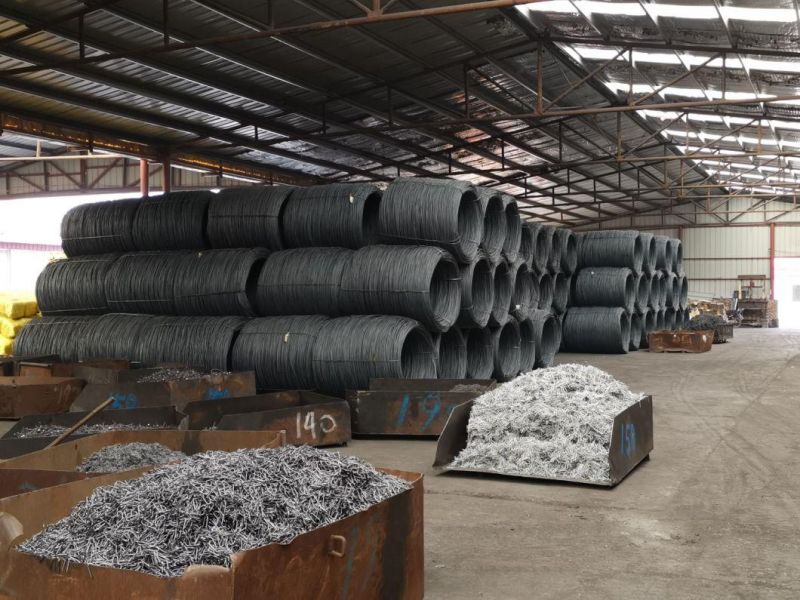 China Factory Premium Quality Building Materials Bright Polished Ring Shank Nail for Construction