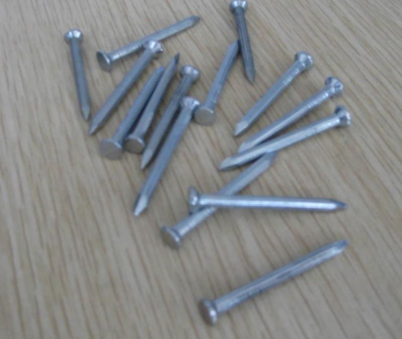 Galvanized Cement Steel Nail Concrete Steel Nail