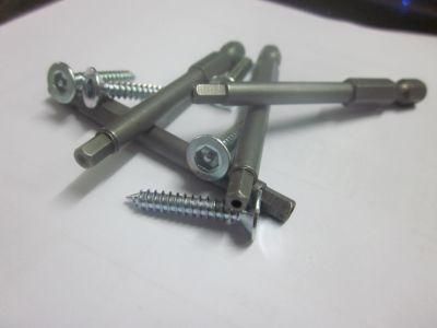 Security Screw Self Tapping Screw Special Screw Safety Screw