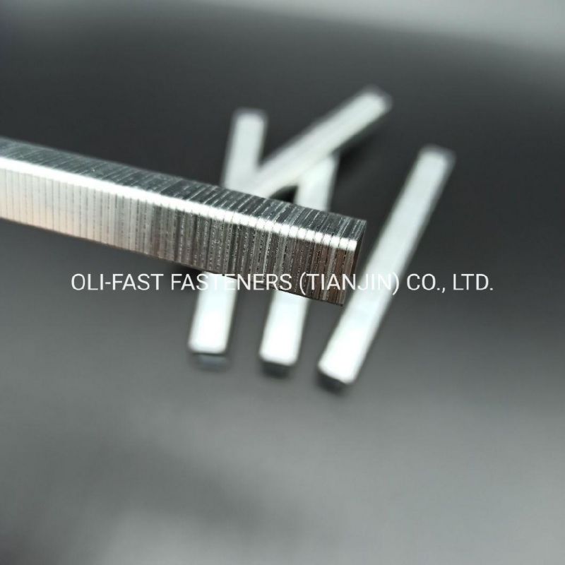 20ga 10j Series Staples Factory Manufacture with High Quality 1004j