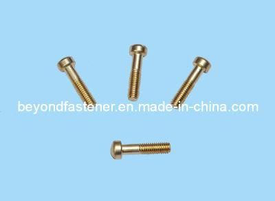 Bronze Bolts Brass Screw Copper Screw/Special Fastener
