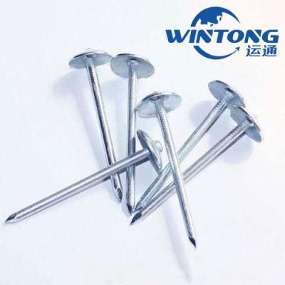 Umbrella Head Twisted Shank Roofing Nail