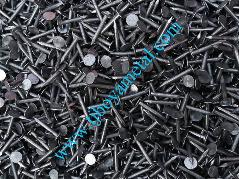 Common Round Nail Iron Wire Nails for Wood Building Construction with Flat Head Metal Clout Nails