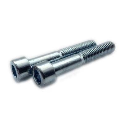 China Fastener High Quality Hex Socket Bolt with Zinc