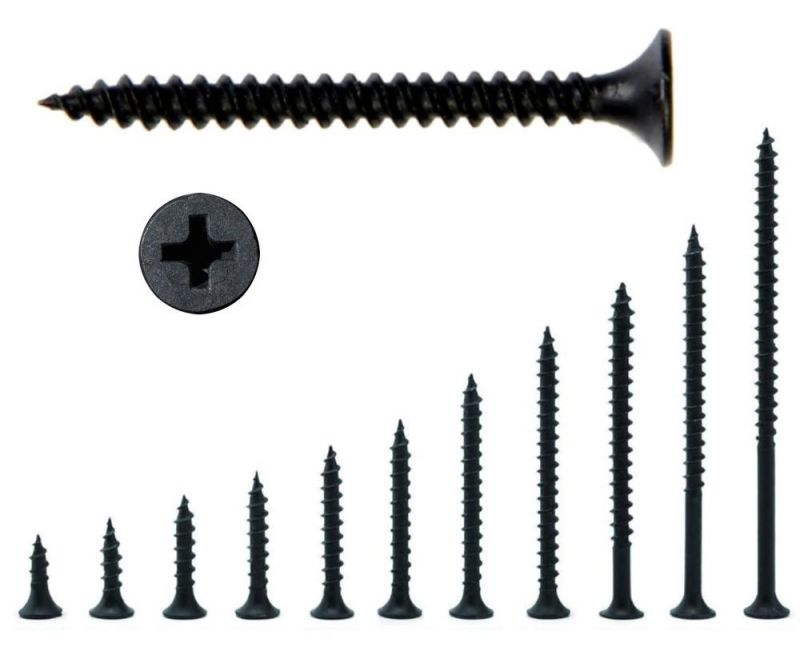 Hihg Quality C1022 Black Phosphated Phillips Drive Cross Recess Bugle Head Plasterboard/Gypsum Nail /Drywall Screw Made in China