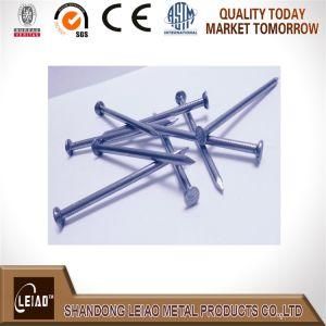 Common Round Iron Wire Nail with Best Quality