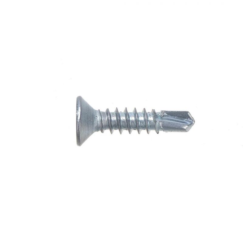 Self Drilling Screw /Roofing Screw/ Tek Screw Drill Point Screw Self-Tapping Screw