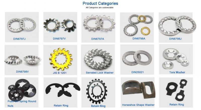 304 316 Stainless Steel DIN6798j Serrated Lock Washers with Internal Teeth