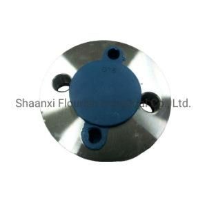Blind/Slip-on/Threaded/Socket Welding Forged Steel Flange