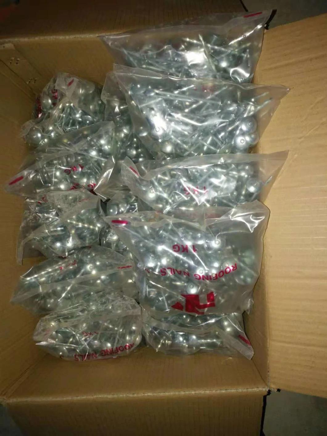 Color Umbrella Head Roofing Nail Umberlla Head Umbrella Type Roofing Nails Color Umbrella Head Roofing Nail with Washer From Factory