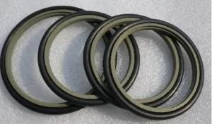 Rubber Ring OE Polytetrafluoroethylene Sitefeng Seal for Sealing Oil