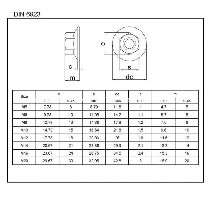 Stainless Steel 304/316 DIN6923/ISO4161 Flange Nuts in M12