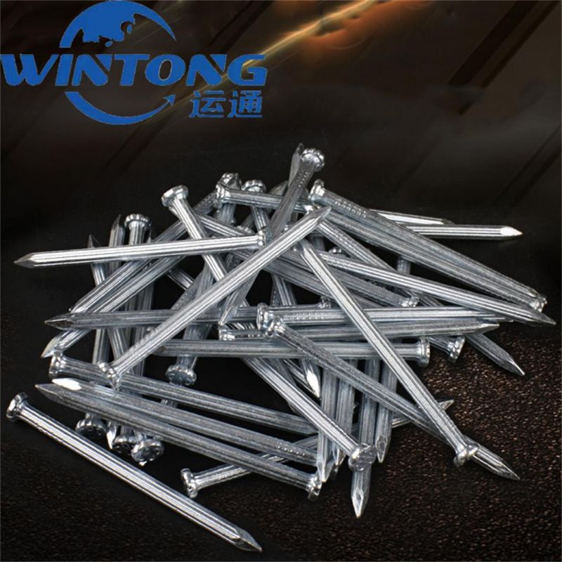 Good Quanlity Wooden Nail/Roofing Nail/Concrete Nail for Construction
