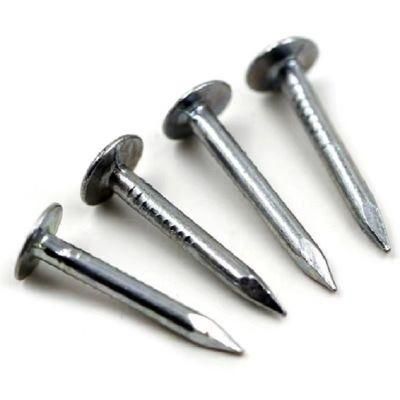 Durable Nails for House Roofing Clout Nails From Big Factory China