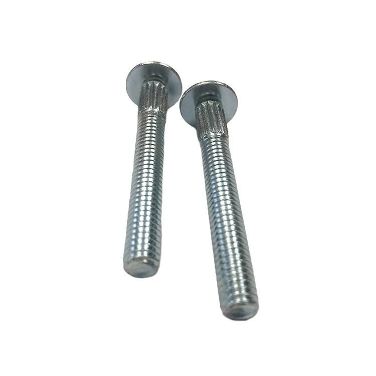 Round Head Carriage Bolt Stainless Steel 304 316