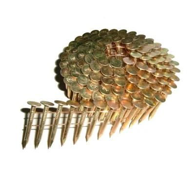 15 Degree Galvanized or Painted Coil Nail Collated Nail 1 1/4 Galvanized Pallet Roofing Coil Nails for The Wood