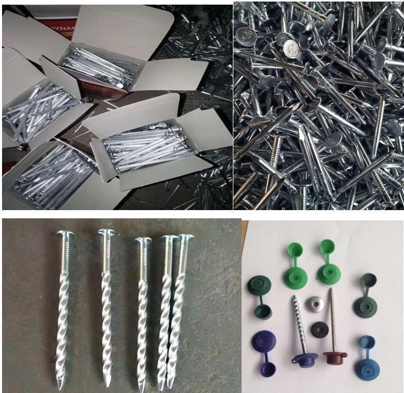 Factory Manufactured Cheap Price 3.125kg/Box X 8boxes/CTN 10bwgx2 1/2" 12bwgx2" Galvanized Roofing Nails with Smooth Shank Umbrella Head for Africa Market