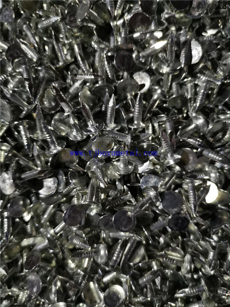 Common Round Nail Iron Wire Nails for Wood Building Construction with Flat Head Metal Clout Nails