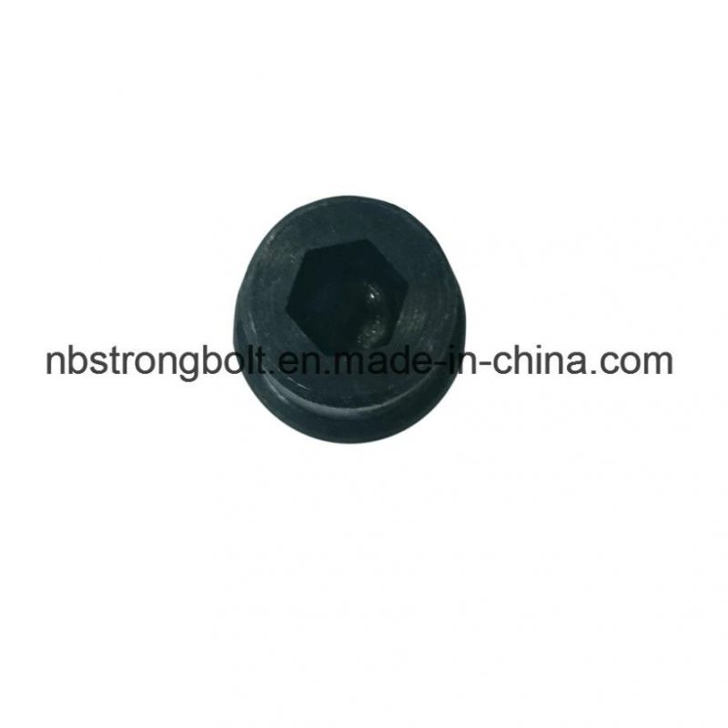 Hex Socket Screw with Black, Non-Standard Screw, Non-Standard Bolt, Non-Standard Fasteners