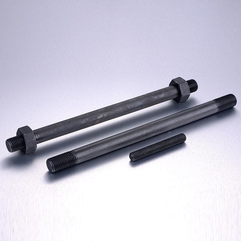 Black Thread /Half Thread Profession Fastener Supplier High Strength Chemical Anchor Bolt