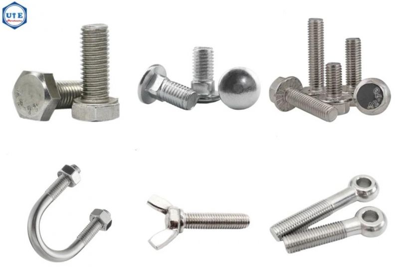 Stainless Steel Fasteners Bolts/Hex Bolt and Nut/Carriage Bolt/U Bolt/ Hex Flange Bolt/Anchor Bolt /Eye Bolt/Hex Nuts/Flat Washer/Spring Washer/Stud Bolts