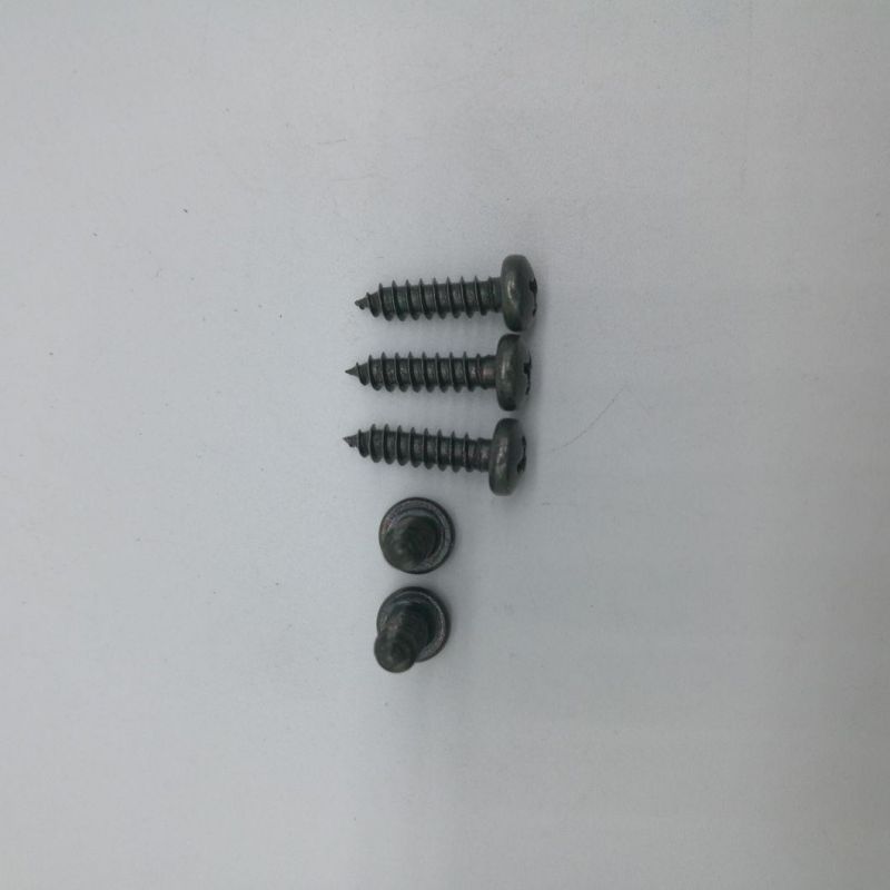 DIN7983 Cross Recessed Raised Csk Head Tapping Screws