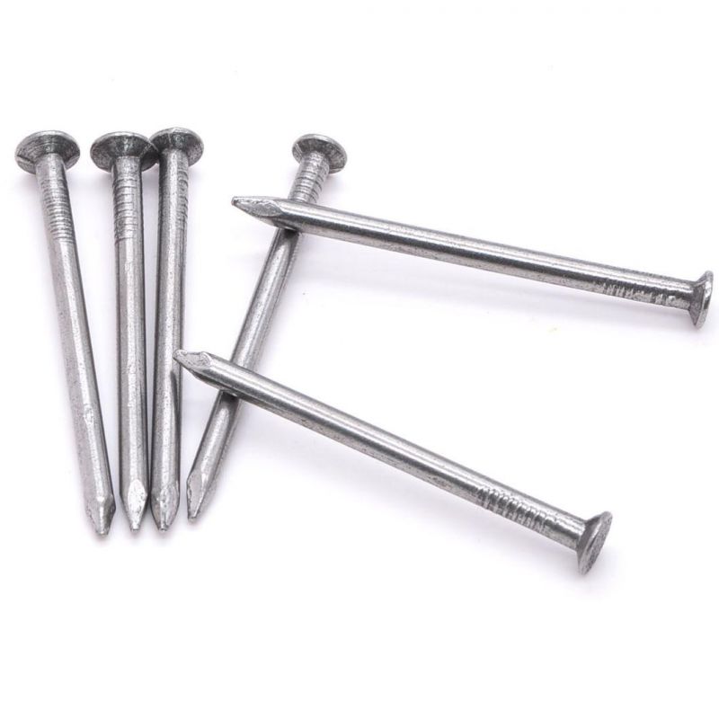 Polished Common Iron Nails Clavos Round Head Nails