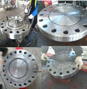 En10204-3-1 Certificate ASTM A312/A213/A269 316L/304L Forged Stainless Steel Flange