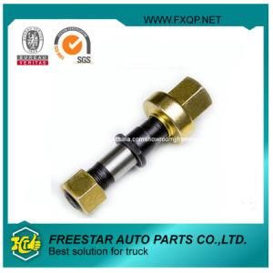 Fxd 100% Good Feedback Quality Wheel Hub Bolt