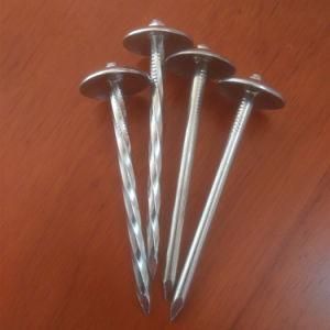 9gx2&quot; Galvanized Mushroom Head Twist Shank Roofing Nail