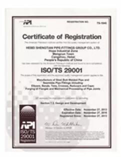Forged Flange DIN 2635 Stainless Steel Wnrf Welding Neck Flange