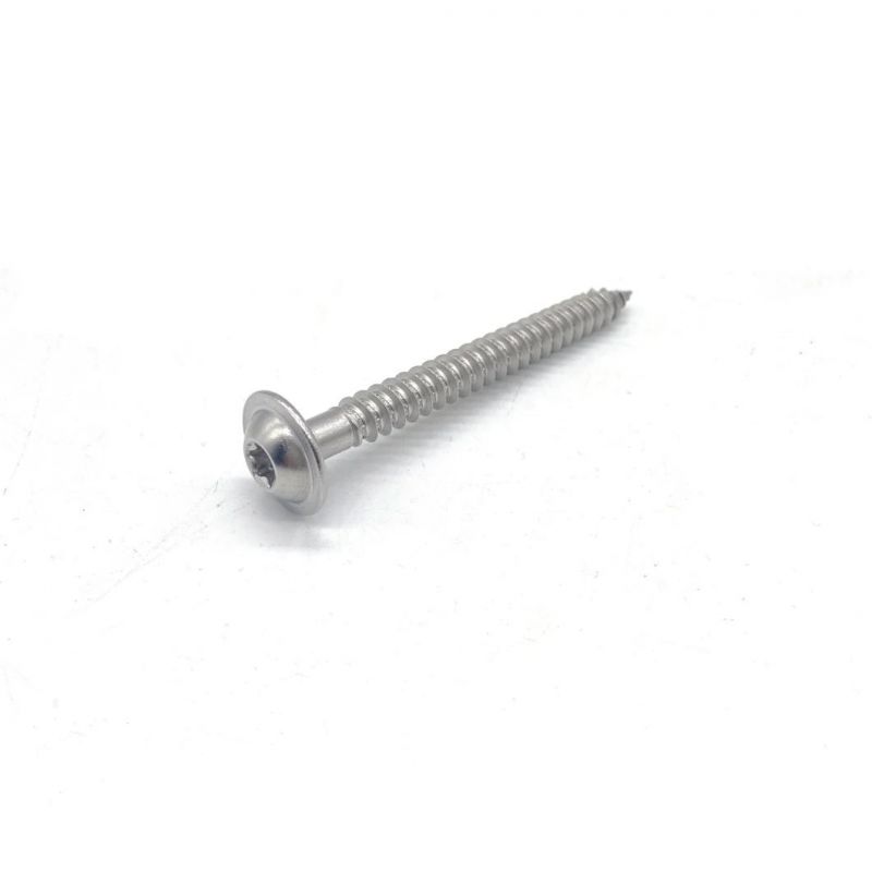 Stainless Steel 304 M3-M6 Phillips Big Pan Head Self Tapping Screws for Plastic