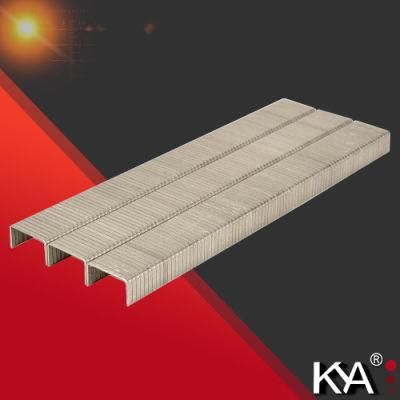 Duo-Fast 50 Staples 1/4-in Leg, Stainless Steel