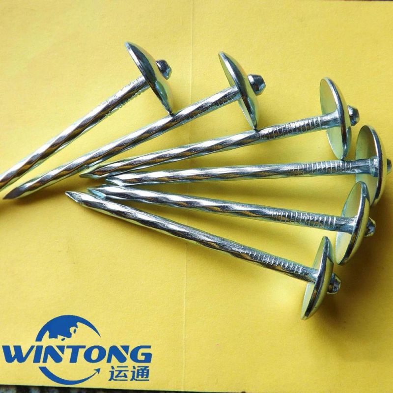 Construction Nails/Straight Pole Roofing Nails
