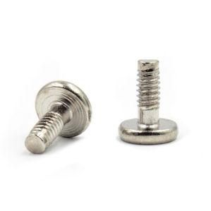 Flat Head Screw