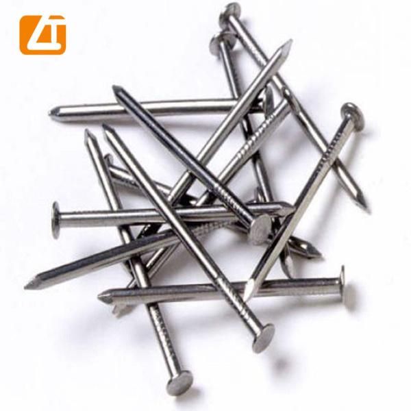 Nails, Good Quality Ploished Common Iron Wire Nails/Clavo (1/2"-6")
