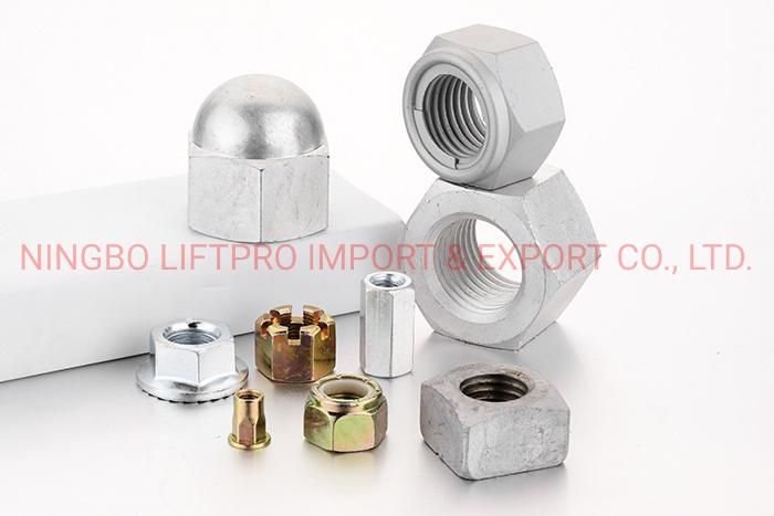 Hex Nut Stainless Steel Nut Zinc Plated Brass Hex Bolts Nuts