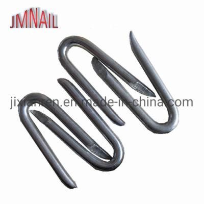 Fence Staple Nail/U Shape Nail/U Nail/SOD Staple/Poultry Staple/Nail/U Type Nail
