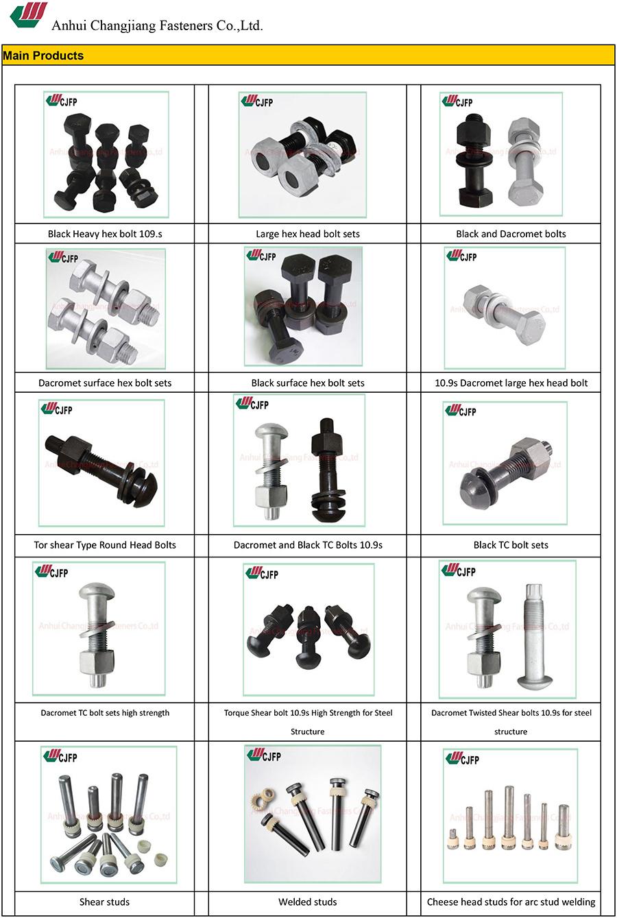 M24 Tc Bolt Torshear Type Round Head Bolt GB3632-2008 10.9s High Strength Bolt