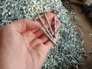 Nail, Zinc Nails, Roofing Nail