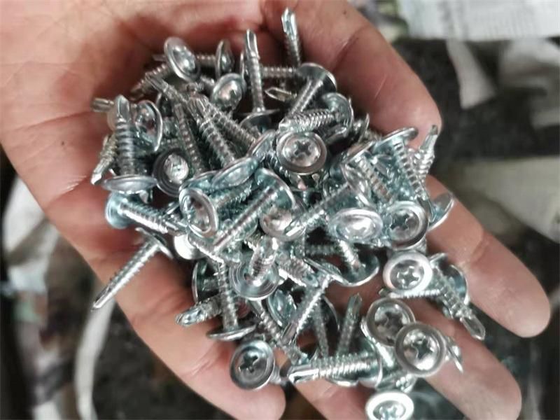 Galvanized Carbon Steel Zinc Plated M4.2 Round Wafer Phillips Truss Head Self Drilling Screws for Building and Construction