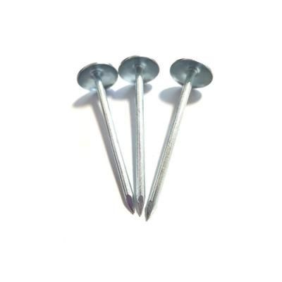Bwg9 Umbrella Head Washer Rubber Roofing Nails