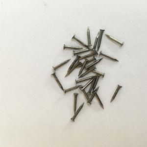 Small Iron Steel Nails/ Delicacy Small Nails