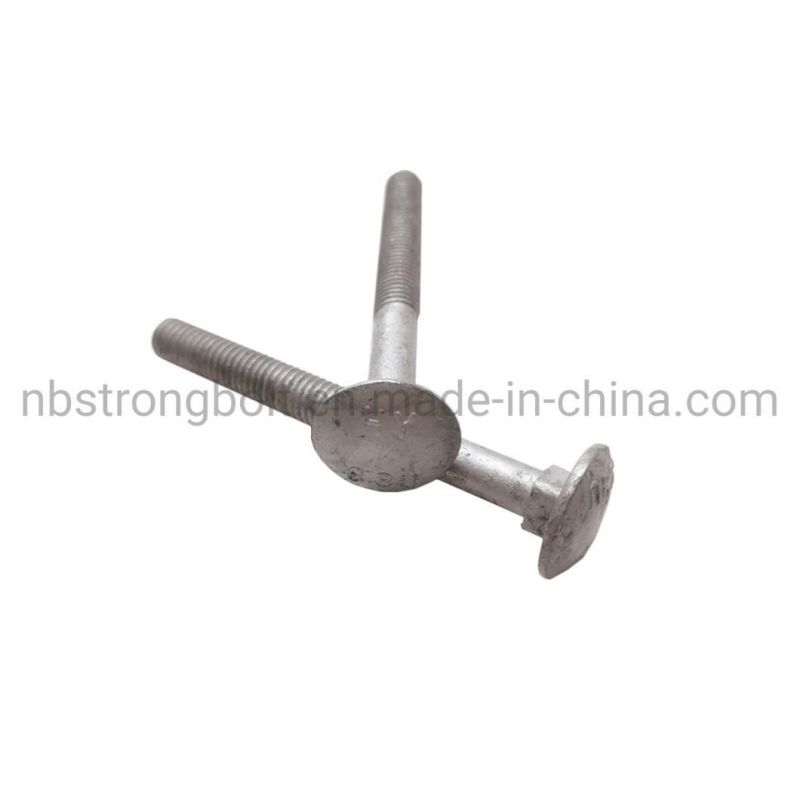 High Tensile Metric Round Head Square Neck Bolt