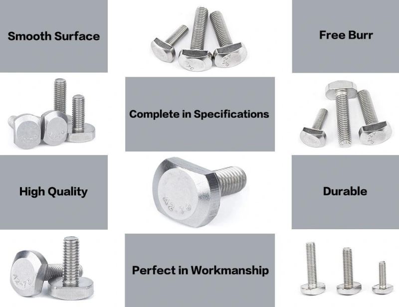 Stainless Steel 201 T Head Bolt 304 T-Bolt Stainless Steel A2 A4 Square Bolt M12 M14 M16 T Shape Fasteners Made in China T Bolt