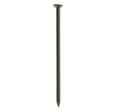 Electric Galvanized Concrete Steel Nails /Roofing Nail