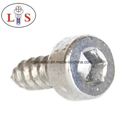 Guangdong China Manufacturer High Quality Self-Tapping Screw