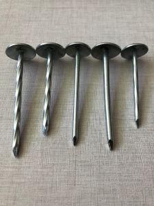 Galvanized Smooth Shank Umbrella Head Roofing Nails