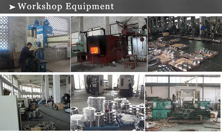 Ms Rtj Forging Welding Neck Standard JIS 10k DIN Class 150 Puddle Carbon Steel Blind Pn16 ANSI Stainless Steel Pipe Flange