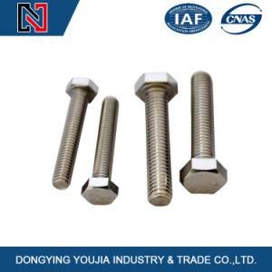 GB5783 Hexagon Head Bolt with Full Thread